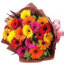 Awesome Bouquet of Assorted Gerberas